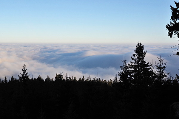 Bild Nr. 7